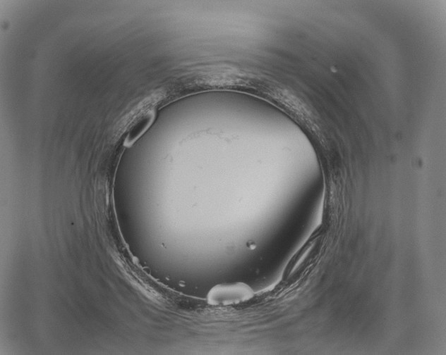 X0000067500397200604101236