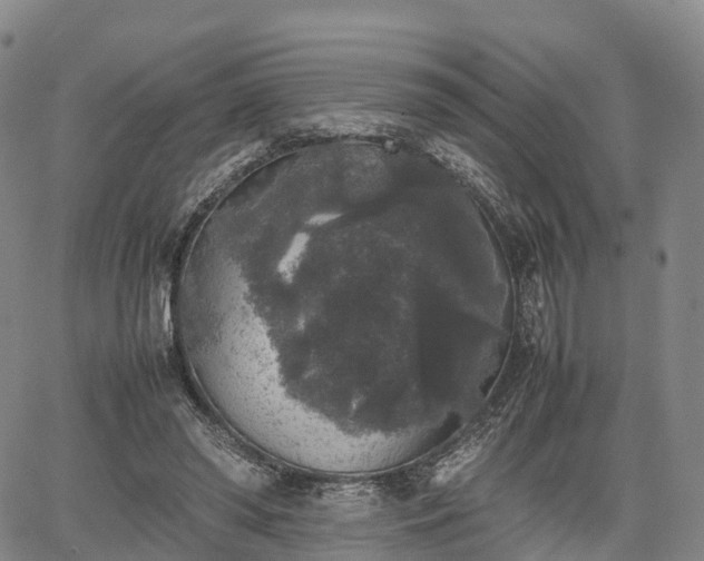 X0000067500398200604101236