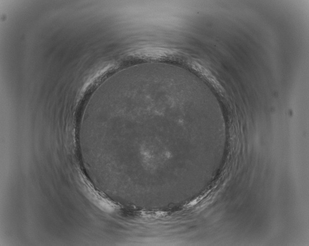 X0000067500399200604101236