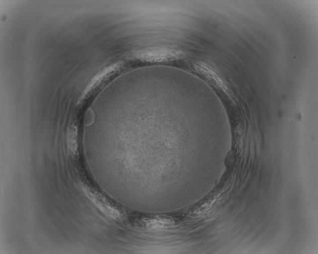 X0000067500400200604101236