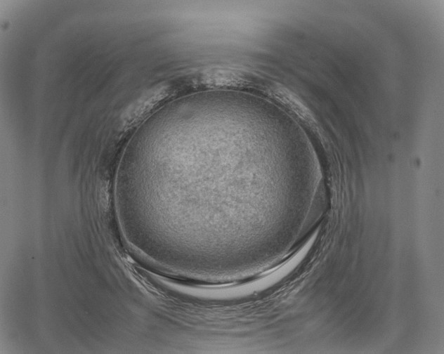 X0000067500401200604101236