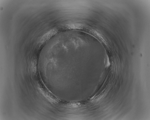 X0000067500402200604101236