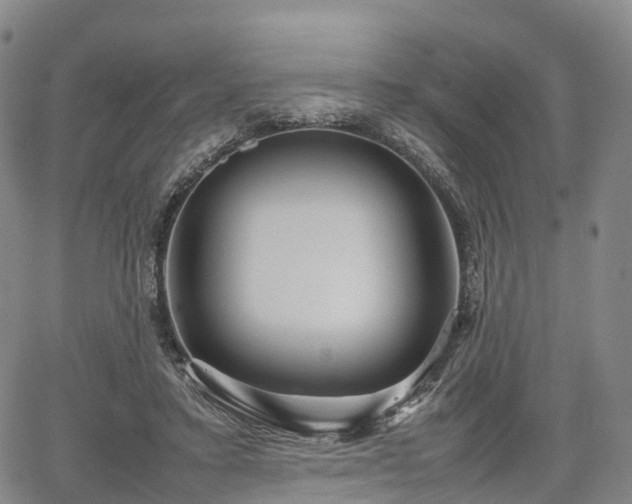 X0000067500403200604101236