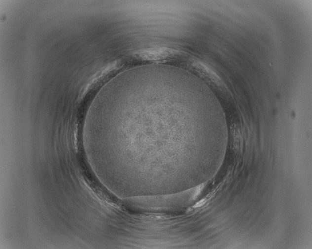 X0000067500404200604101236