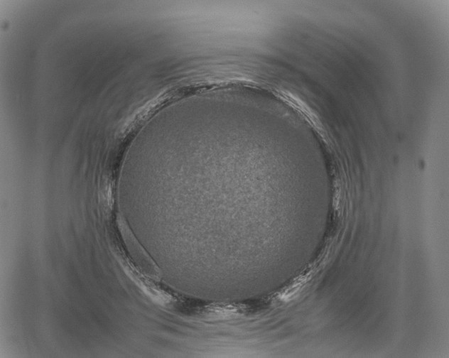 X0000067500405200604101235