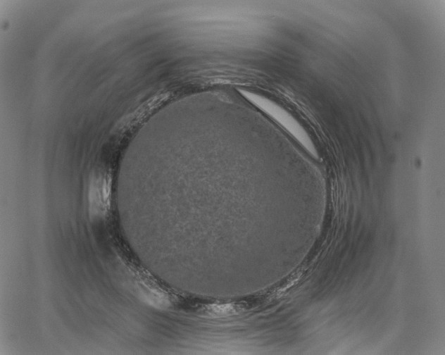 X0000067500406200604101235