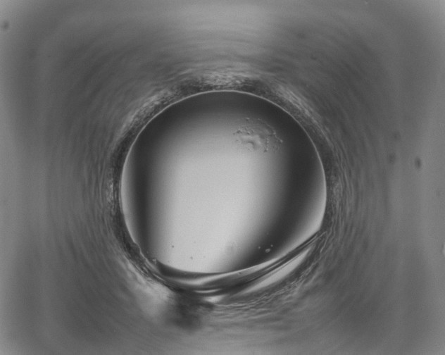 X0000067500407200604101235