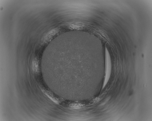 X0000067500408200604101235