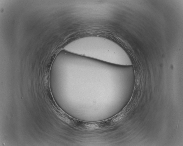 X0000067500409200604101235