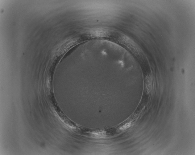 X0000067500410200604101235