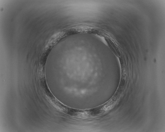 X0000067500411200604101235