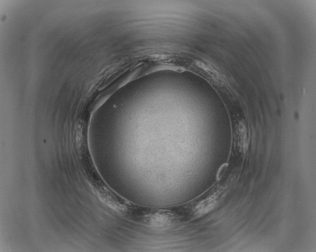 X0000067500412200604101235