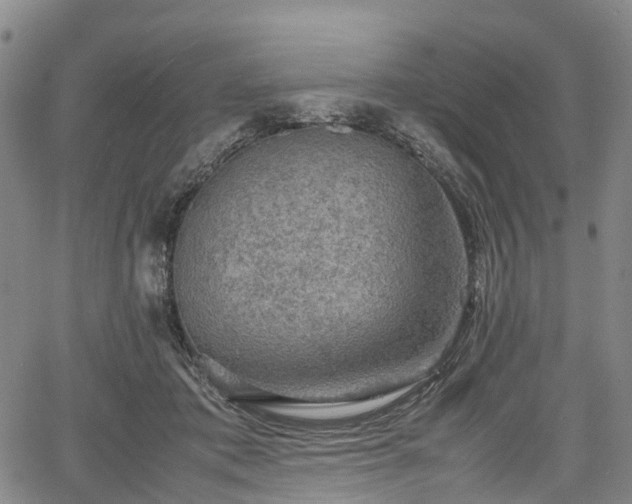 X0000067500413200604101235