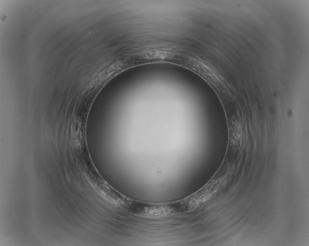 X0000067500414200604101235