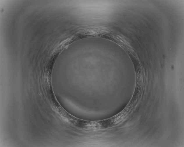 X0000067500415200604101235