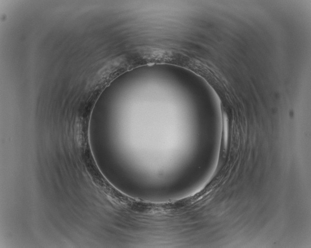 X0000067500416200604101235