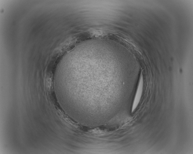 X0000067500417200604101235