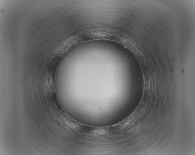 X0000067500418200604101235