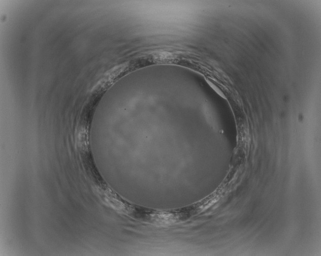 X0000067500419200604101235