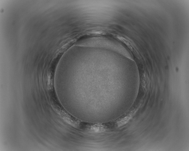 X0000067500420200604101235