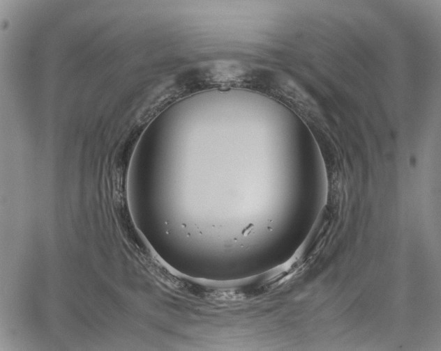 X0000067500421200604101235