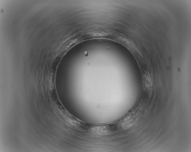 X0000067500422200604101235