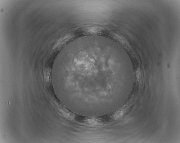 X0000067500423200604101235