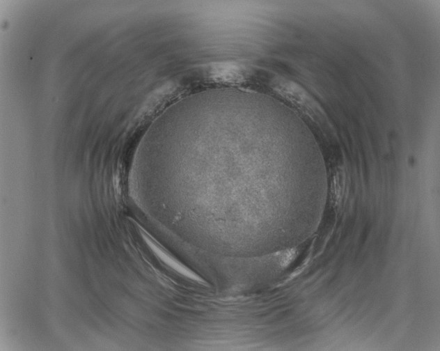 X0000067500424200604101235