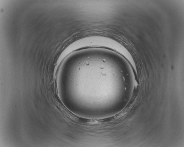 X0000067500425200604101235