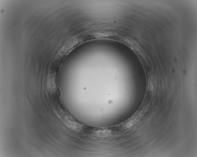 X0000067500426200604101235