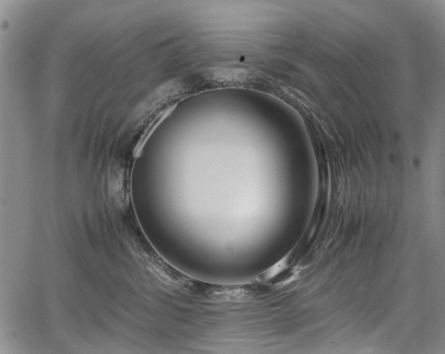 X0000067500428200604101235