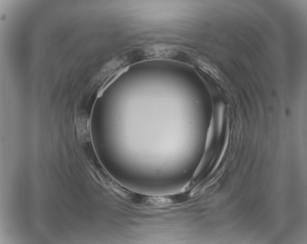 X0000067500429200604101235