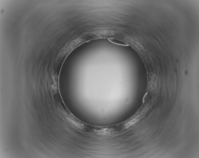 X0000067500430200604101235