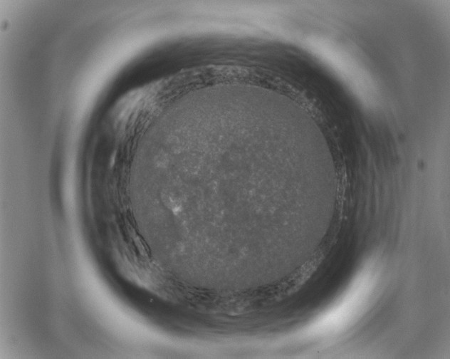 X0000067500431200604101235