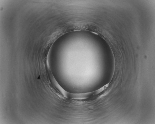 X0000067500432200604101235