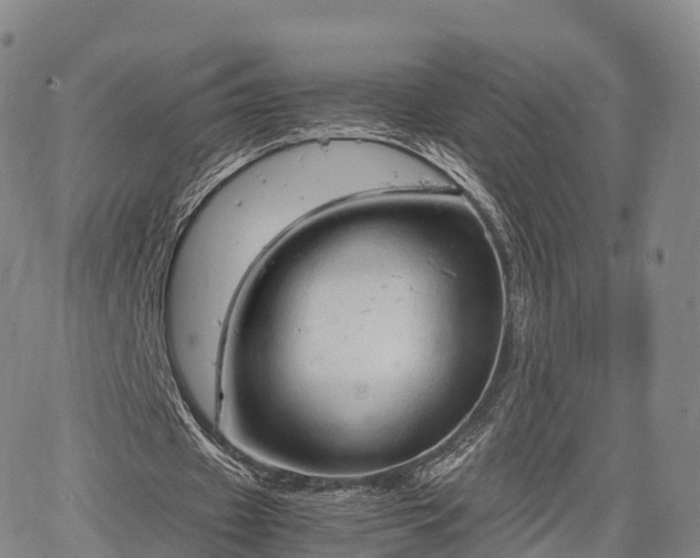 X0000067500433200604101234