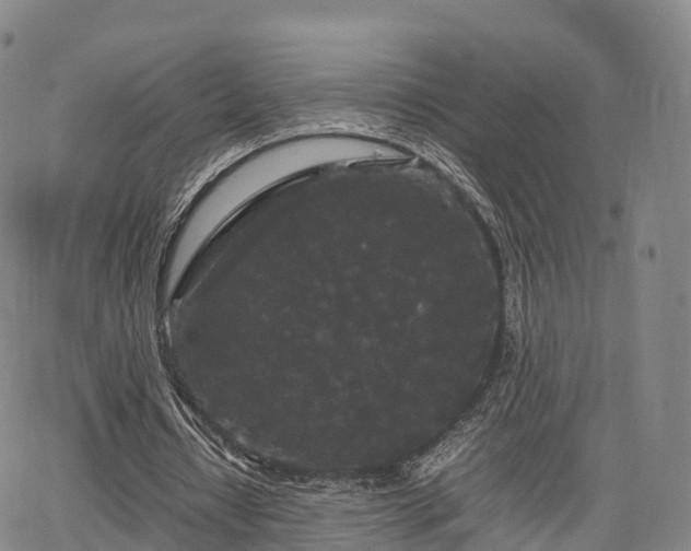 X0000067500434200604101234