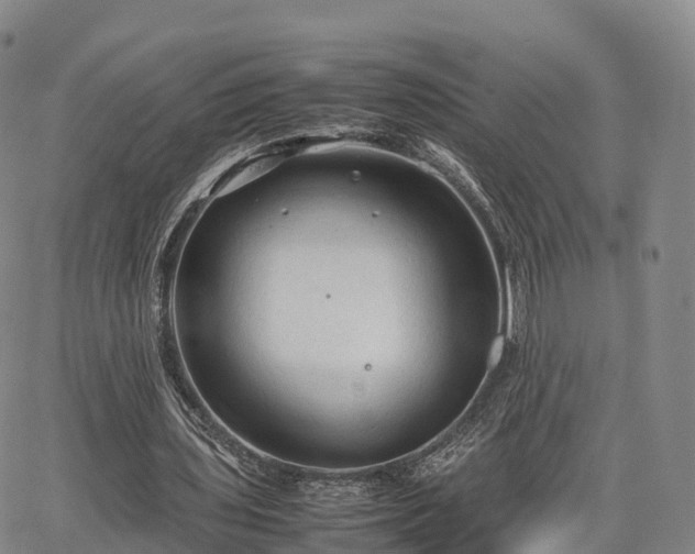 X0000067500435200604101234