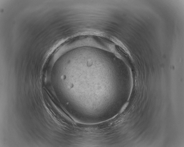 X0000067500436200604101234