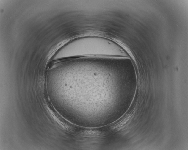 X0000067500437200604101234