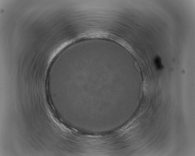 X0000067500438200604101234