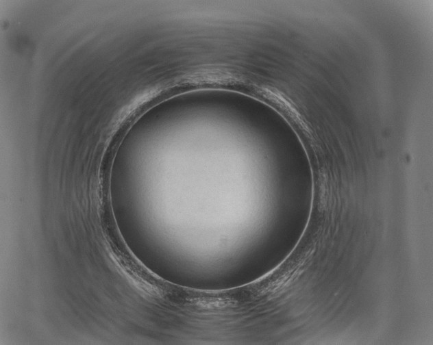 X0000067500439200604101234