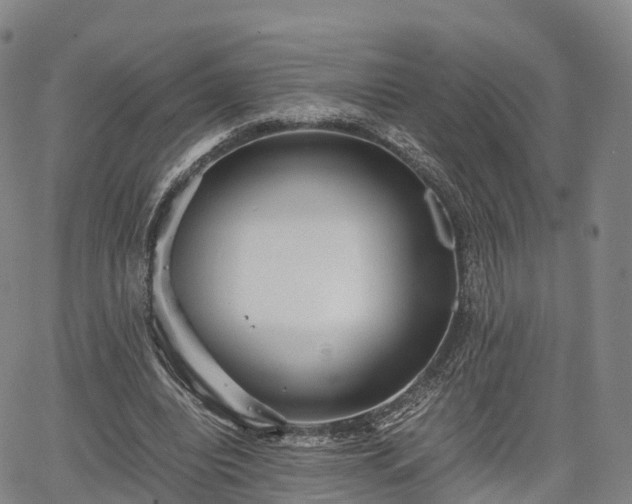 X0000067500440200604101234