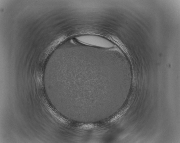 X0000067500441200604101234