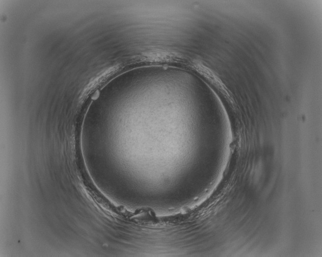 X0000067500442200604101234