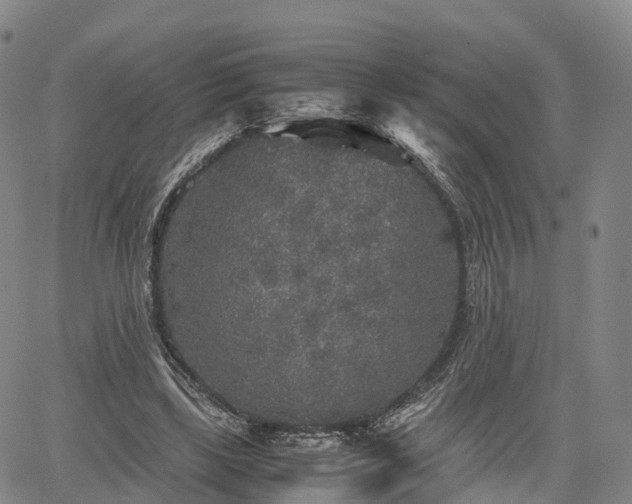 X0000067500443200604101234