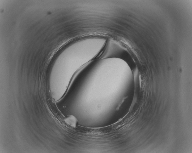 X0000067500444200604101234