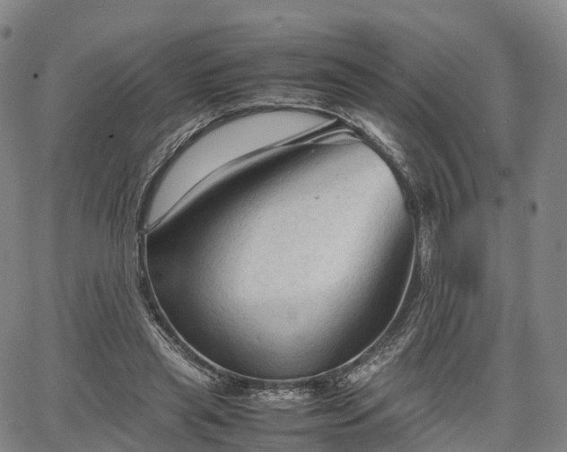 X0000067500445200604101234