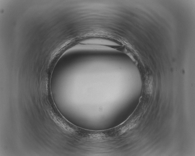 X0000067500446200604101234