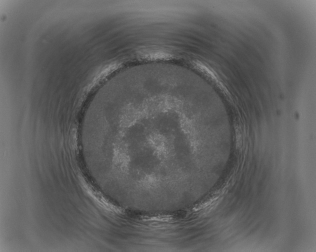 X0000067500447200604101235